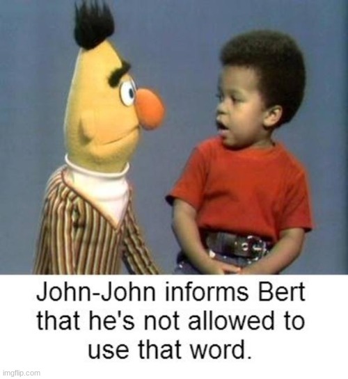 W O R D | JOHN-JOHN INFORMS BERT THAT HE'S NOT ALLOWED TO USE THAT WORD. | image tagged in sesame street | made w/ Imgflip meme maker