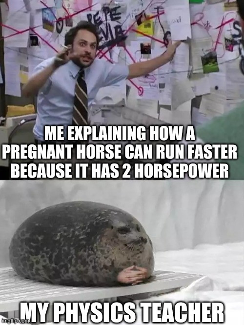 Man explaining to seal | ME EXPLAINING HOW A PREGNANT HORSE CAN RUN FASTER BECAUSE IT HAS 2 HORSEPOWER; MY PHYSICS TEACHER | image tagged in man explaining to seal | made w/ Imgflip meme maker