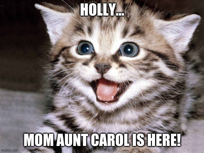 Cat seing a bob cat | HOLLY... MOM AUNT CAROL IS HERE! | image tagged in breaking news | made w/ Imgflip meme maker