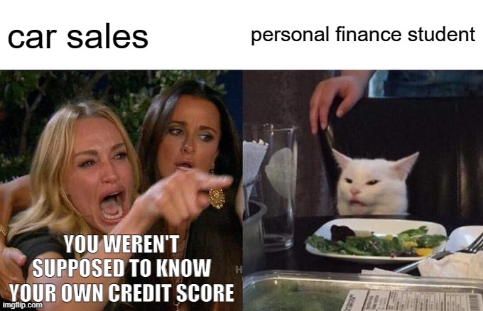 you weren't supposed to know your own credit score | car sales; personal finance student; YOU WEREN'T SUPPOSED TO KNOW YOUR OWN CREDIT SCORE | image tagged in memes,woman yelling at cat | made w/ Imgflip meme maker