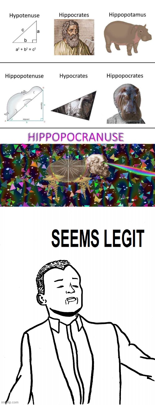 seems legit | image tagged in hippopocranuse,seems legit,hippo,hippopotamus,math,triangle | made w/ Imgflip meme maker