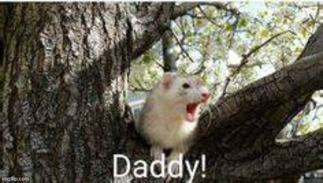 Daddy Imgflip