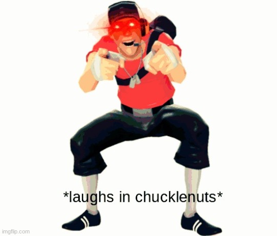 Laughs in chucklenuts | image tagged in laughs in chucklenuts | made w/ Imgflip meme maker