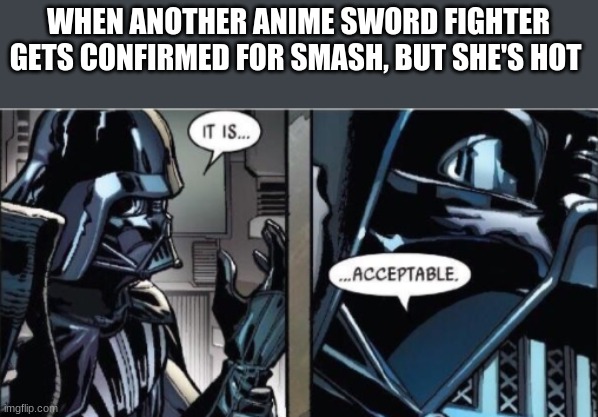 Don't @ me | WHEN ANOTHER ANIME SWORD FIGHTER GETS CONFIRMED FOR SMASH, BUT SHE'S HOT | image tagged in it is acceptable | made w/ Imgflip meme maker