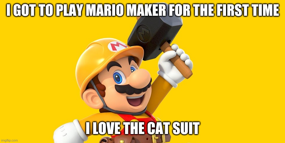 New Mario maker details | I GOT TO PLAY MARIO MAKER FOR THE FIRST TIME; I LOVE THE CAT SUIT | image tagged in new mario maker details | made w/ Imgflip meme maker