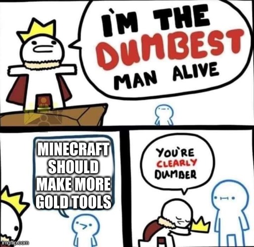 Dumbest Man Alive Blank | MINECRAFT SHOULD MAKE MORE GOLD TOOLS | image tagged in dumbest man alive blank | made w/ Imgflip meme maker