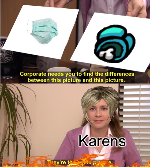 Pls submit my memes to limenade | Karens | image tagged in memes,they're the same picture | made w/ Imgflip meme maker