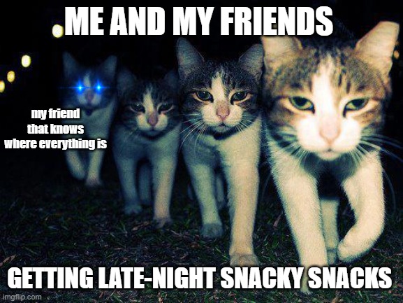 Wrong Neighboorhood Cats | ME AND MY FRIENDS; my friend that knows where everything is; GETTING LATE-NIGHT SNACKY SNACKS | image tagged in memes,wrong neighboorhood cats | made w/ Imgflip meme maker