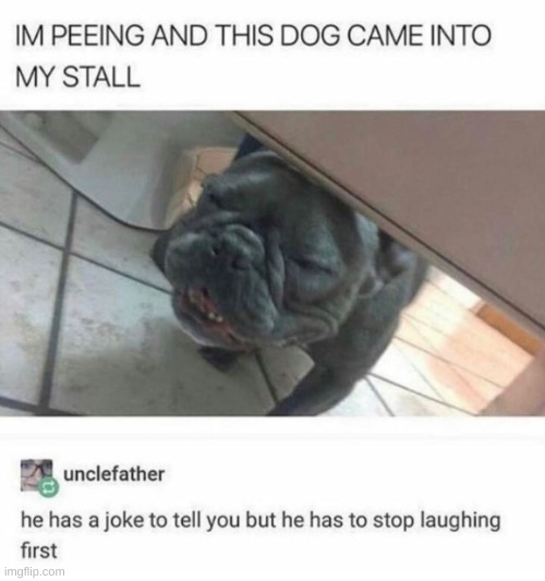 He has a joke | image tagged in at least one tag | made w/ Imgflip meme maker