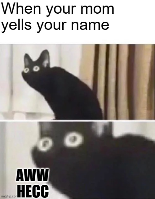 Oh No Black Cat | When your mom yells your name; AWW HECC | image tagged in oh no black cat | made w/ Imgflip meme maker