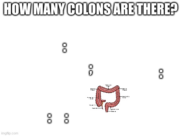 Tell me how many you see | HOW MANY COLONS ARE THERE? :; ;; :; :     : | image tagged in funny | made w/ Imgflip meme maker