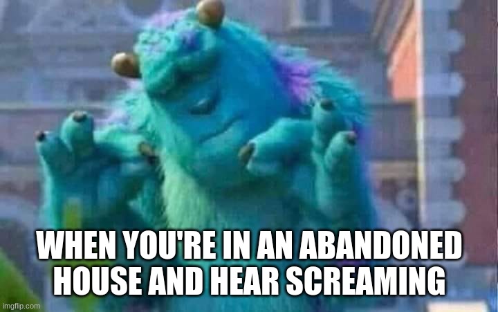 Sully shutdown | WHEN YOU'RE IN AN ABANDONED HOUSE AND HEAR SCREAMING | image tagged in sully shutdown | made w/ Imgflip meme maker
