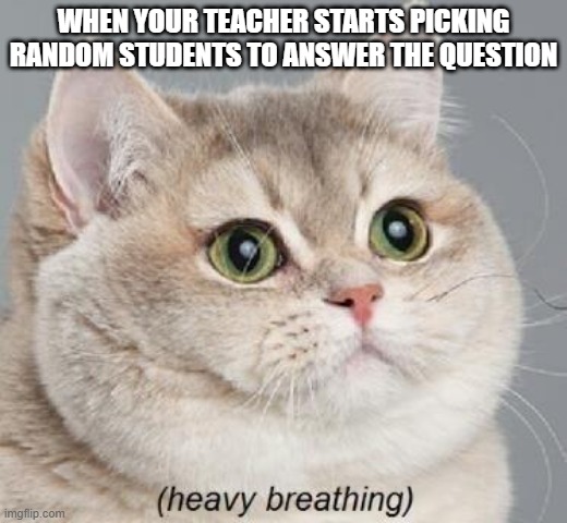 they would put all of our names onto popsicles and then randomly pick one | WHEN YOUR TEACHER STARTS PICKING RANDOM STUDENTS TO ANSWER THE QUESTION | image tagged in memes,heavy breathing cat,school,anxiety | made w/ Imgflip meme maker