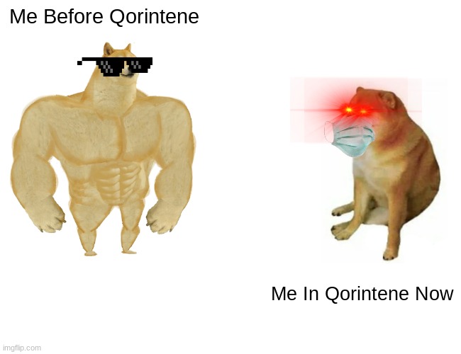 Buff Doge vs. Cheems Meme | Me Before Qorintene; Me In Qorintene Now | image tagged in memes,buff doge vs cheems | made w/ Imgflip meme maker