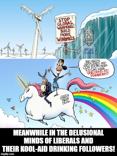 Meanwhile in the DELUSIONAL MINDS of liberals! GREEN STUPIDTOPIA! | MEANWHILE IN THE DELUSIONAL MINDS OF LIBERALS AND THEIR KOOL-AID DRINKING FOLLOWERS! | image tagged in stupid people,morons,democrats,stupid liberals,idiots | made w/ Imgflip meme maker