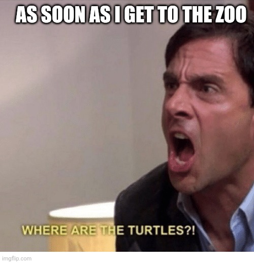 Where are the turtles |  AS SOON AS I GET TO THE ZOO | image tagged in where are the turtles | made w/ Imgflip meme maker