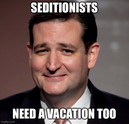 ted cruz | SEDITIONISTS; NEED A VACATION TOO | image tagged in ted cruz | made w/ Imgflip meme maker