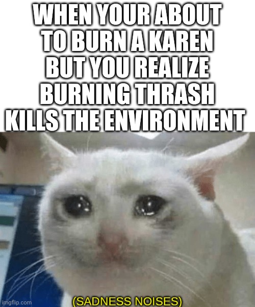 sadness noises | WHEN YOUR ABOUT TO BURN A KAREN BUT YOU REALIZE BURNING THRASH KILLS THE ENVIRONMENT | image tagged in sadness noises | made w/ Imgflip meme maker