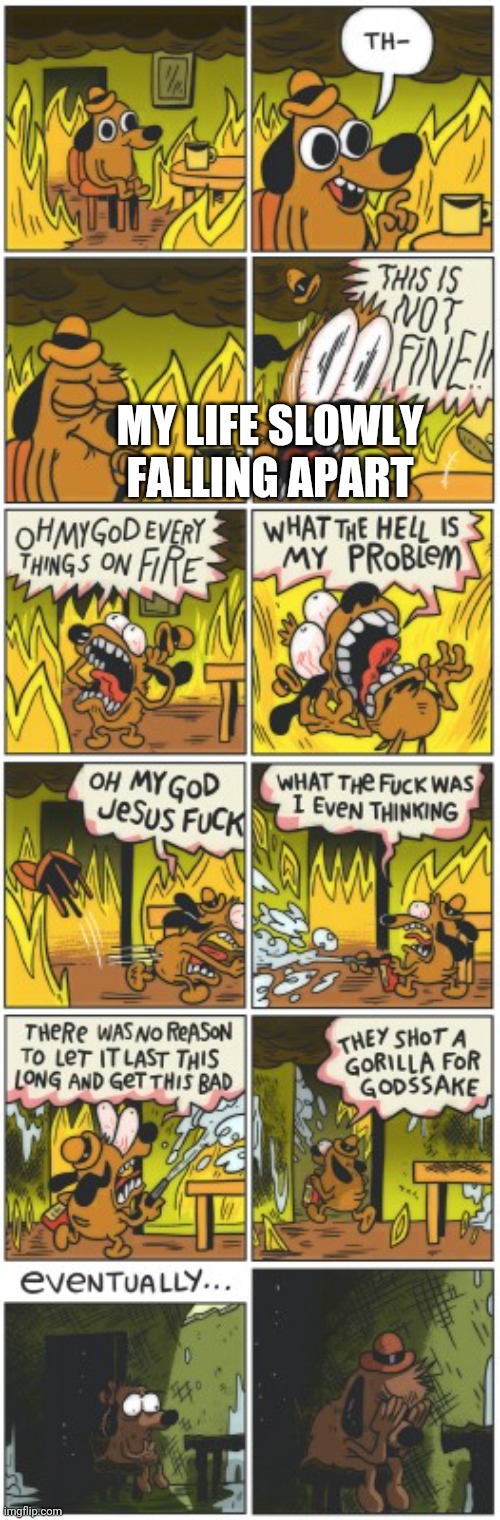 This is not fine | MY LIFE SLOWLY FALLING APART | image tagged in this is not fine | made w/ Imgflip meme maker