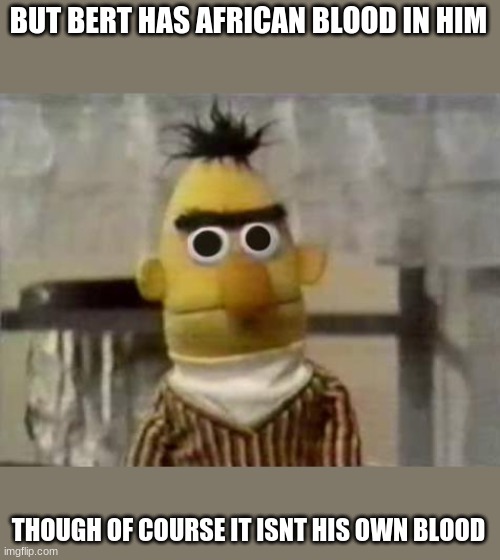 Bert Stare | BUT BERT HAS AFRICAN BLOOD IN HIM THOUGH OF COURSE IT ISNT HIS OWN BLOOD | image tagged in bert stare | made w/ Imgflip meme maker