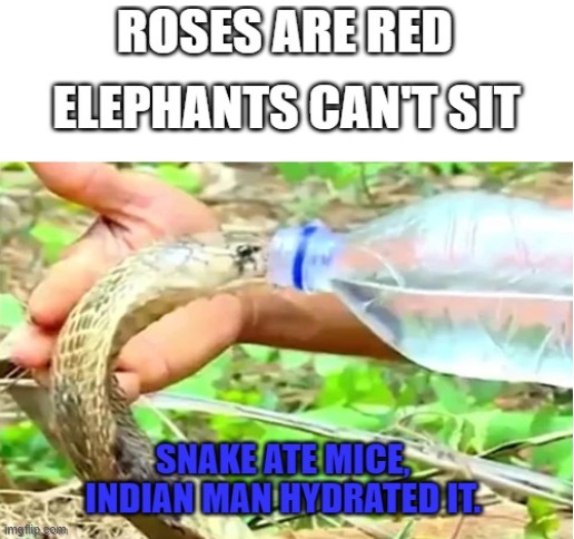 a glass of water would have been fine but this... | image tagged in blank white template,snake,indian | made w/ Imgflip meme maker