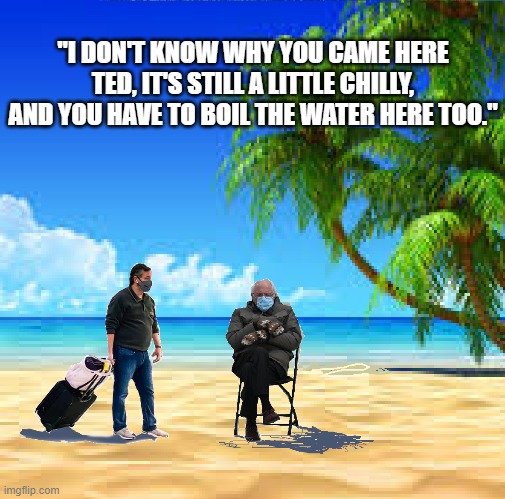 Ted Cruz and Bernie Sanders | "I DON'T KNOW WHY YOU CAME HERE TED, IT'S STILL A LITTLE CHILLY, AND YOU HAVE TO BOIL THE WATER HERE TOO." | image tagged in ted cruz,bernie sanders | made w/ Imgflip meme maker
