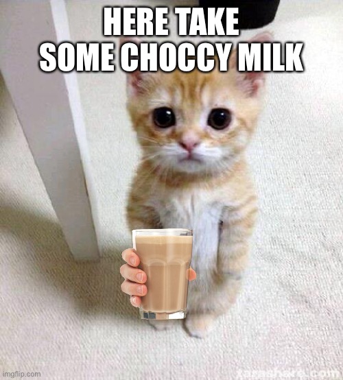 Cats | HERE TAKE SOME CHOCCY MILK | image tagged in memes,cute cat | made w/ Imgflip meme maker