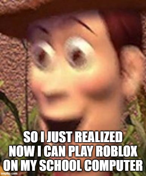 woah | SO I JUST REALIZED NOW I CAN PLAY ROBLOX ON MY SCHOOL COMPUTER | image tagged in woah | made w/ Imgflip meme maker