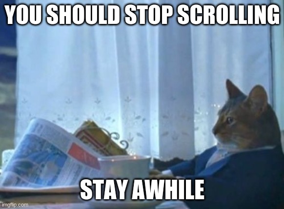 take a break | YOU SHOULD STOP SCROLLING; STAY AWHILE | image tagged in memes,i should buy a boat cat,wholesome | made w/ Imgflip meme maker