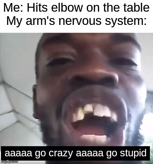 Elbows hitting tables be like: | Me: Hits elbow on the table
My arm's nervous system:; aaaaa go crazy aaaaa go stupid | image tagged in go crazy aaa go stupid aaa | made w/ Imgflip meme maker