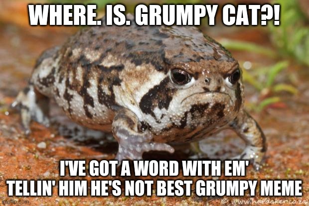 Grumpy toad, Stop, eat a snickers |  WHERE. IS. GRUMPY CAT?! I'VE GOT A WORD WITH EM'
TELLIN' HIM HE'S NOT BEST GRUMPY MEME | image tagged in memes,grumpy toad | made w/ Imgflip meme maker
