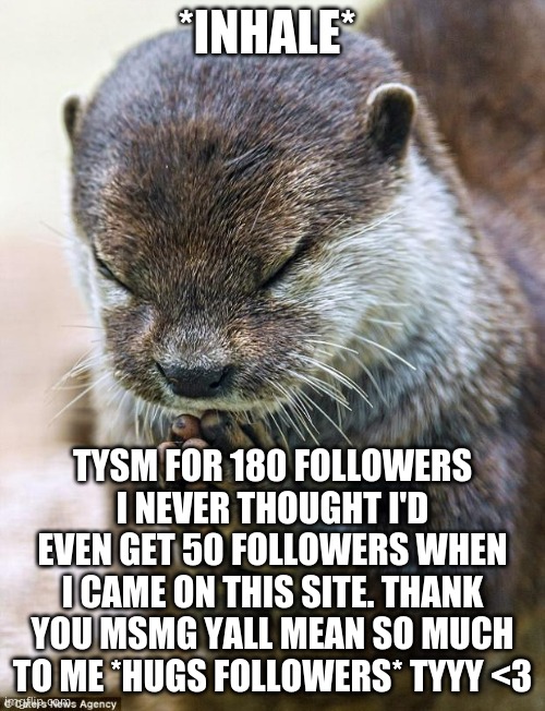 :DDDDDDDDDDDD | *INHALE*; TYSM FOR 180 FOLLOWERS I NEVER THOUGHT I'D EVEN GET 50 FOLLOWERS WHEN I CAME ON THIS SITE. THANK YOU MSMG YALL MEAN SO MUCH TO ME *HUGS FOLLOWERS* TYYY <3 | image tagged in thank you lord otter | made w/ Imgflip meme maker