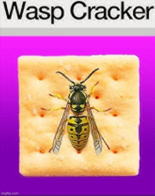 unholy demon in my yt recommended.png | image tagged in memes,funny,wtf,food,crackers,wasp | made w/ Imgflip meme maker