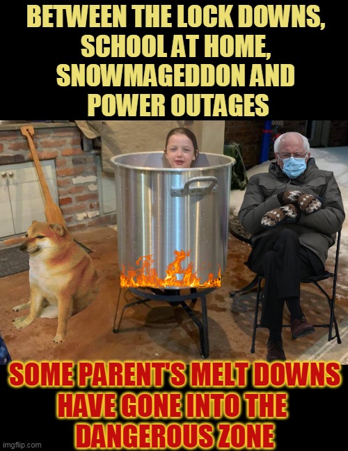 BETWEEN THE LOCK DOWNS, 
SCHOOL AT HOME, 
SNOWMAGEDDON AND 
POWER OUTAGES; SOME PARENT'S MELT DOWNS
HAVE GONE INTO THE 
DANGEROUS ZONE | made w/ Imgflip meme maker