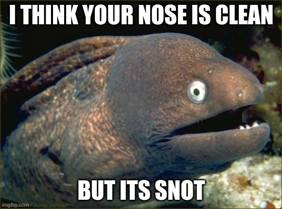 Bad Joke Eel | I THINK YOUR NOSE IS CLEAN; BUT ITS SNOT | image tagged in memes,bad joke eel | made w/ Imgflip meme maker