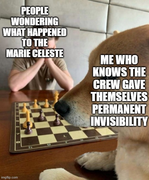 Invisibility potion | PEOPLE WONDERING WHAT HAPPENED TO THE MARIE CELESTE; ME WHO KNOWS THE CREW GAVE THEMSELVES PERMANENT INVISIBILITY | image tagged in chess doge | made w/ Imgflip meme maker