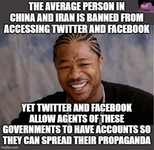 Are Facebook and Twitter REALLY American companies? | THE AVERAGE PERSON IN CHINA AND IRAN IS BANNED FROM ACCESSING TWITTER AND FACEBOOK; YET TWITTER AND FACEBOOK ALLOW AGENTS OF THESE GOVERNMENTS TO HAVE ACCOUNTS SO THEY CAN SPREAD THEIR PROPAGANDA | image tagged in memes,yo dawg heard you | made w/ Imgflip meme maker