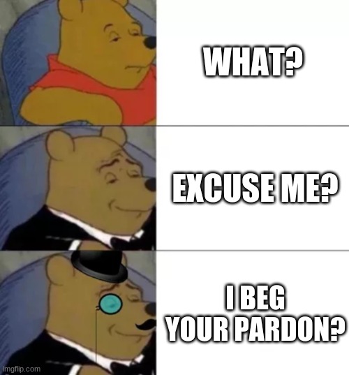 W H A T | WHAT? EXCUSE ME? I BEG YOUR PARDON? | image tagged in fancy pooh | made w/ Imgflip meme maker