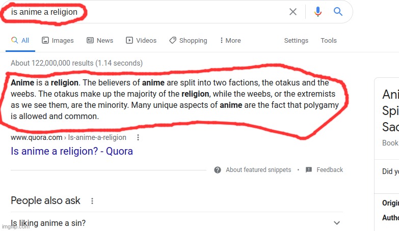 anime is a religion??? | image tagged in really | made w/ Imgflip meme maker