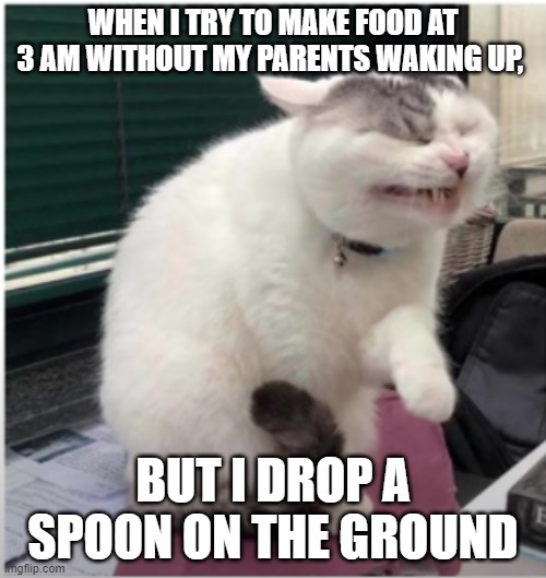 ANOTHER YEETPOST! | WHEN I TRY TO MAKE FOOD AT 3 AM WITHOUT MY PARENTS WAKING UP, BUT I DROP A SPOON ON THE GROUND | image tagged in funny cats,hahahaha,relateable | made w/ Imgflip meme maker