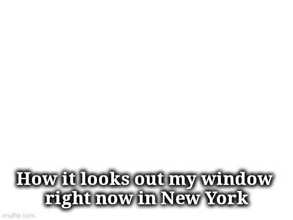Blank White Template | How it looks out my window 
right now in New York | image tagged in blank white template | made w/ Imgflip meme maker