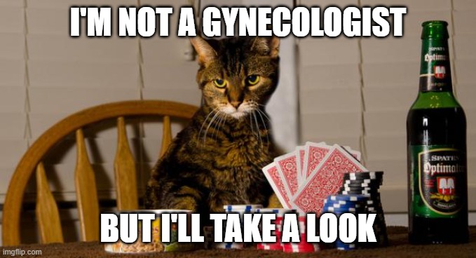  I'M NOT A GYNECOLOGIST; BUT I'LL TAKE A LOOK | image tagged in poker cat | made w/ Imgflip meme maker