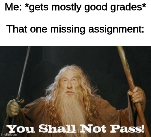 Damnit! |  Me: *gets mostly good grades*
 
That one missing assignment: | image tagged in gandalf you shall not pass | made w/ Imgflip meme maker