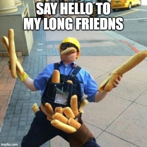 Baguettes | SAY HELLO TO MY LONG FRIEDNS | image tagged in baguettes | made w/ Imgflip meme maker