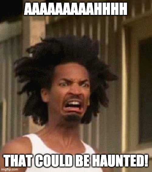Disgusted Face | AAAAAAAAAHHHH THAT COULD BE HAUNTED! | image tagged in disgusted face | made w/ Imgflip meme maker