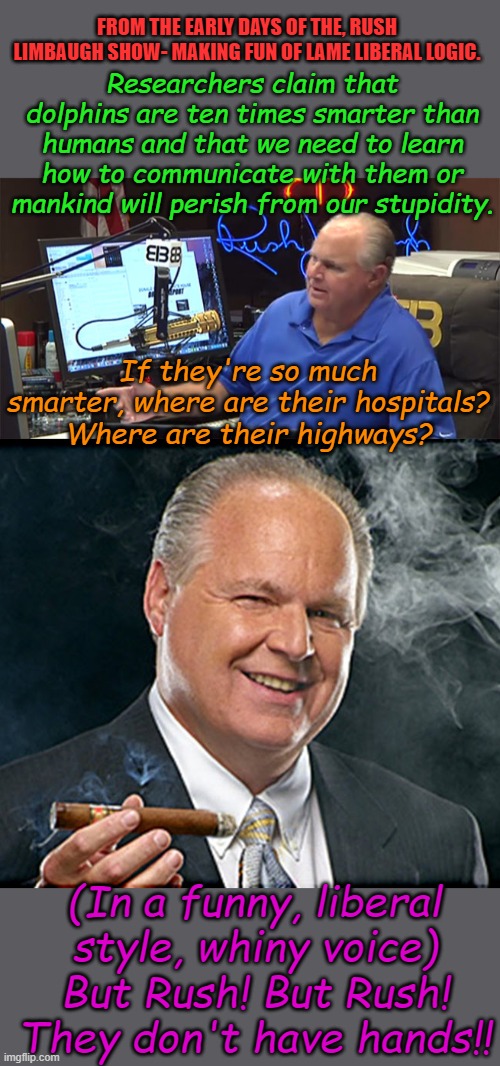 Liberals hated Limbaugh because he exposed their foolishness with the truth, humor and logic. We all laughed, thanks Rush. | FROM THE EARLY DAYS OF THE, RUSH LIMBAUGH SHOW- MAKING FUN OF LAME LIBERAL LOGIC. Researchers claim that dolphins are ten times smarter than humans and that we need to learn how to communicate with them or mankind will perish from our stupidity. If they're so much smarter, where are their hospitals? Where are their highways? (In a funny, liberal style, whiny voice) But Rush! But Rush! They don't have hands!! | image tagged in limbaugh,rush limbaugh smoking cigar | made w/ Imgflip meme maker
