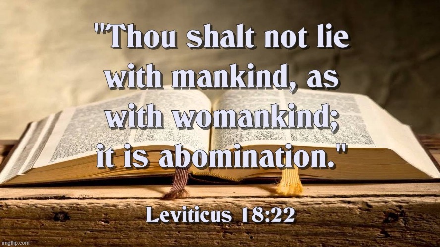Leviticus 18:22 | image tagged in my favorite | made w/ Imgflip meme maker