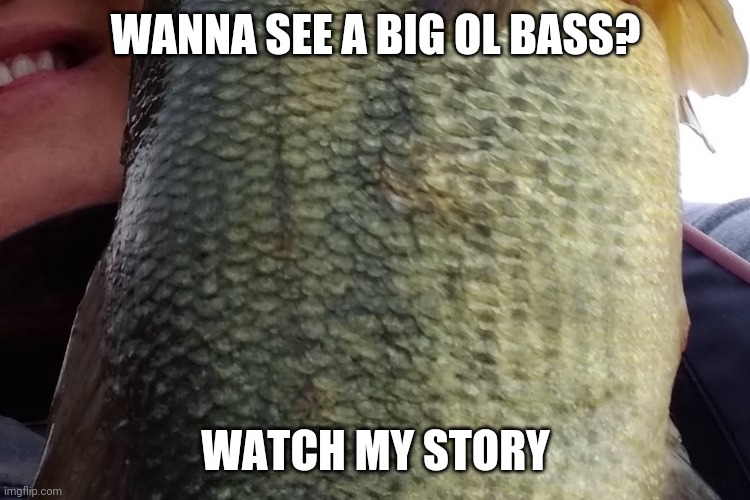 Bass Fisbing | WANNA SEE A BIG OL BASS? WATCH MY STORY | image tagged in fishing | made w/ Imgflip meme maker