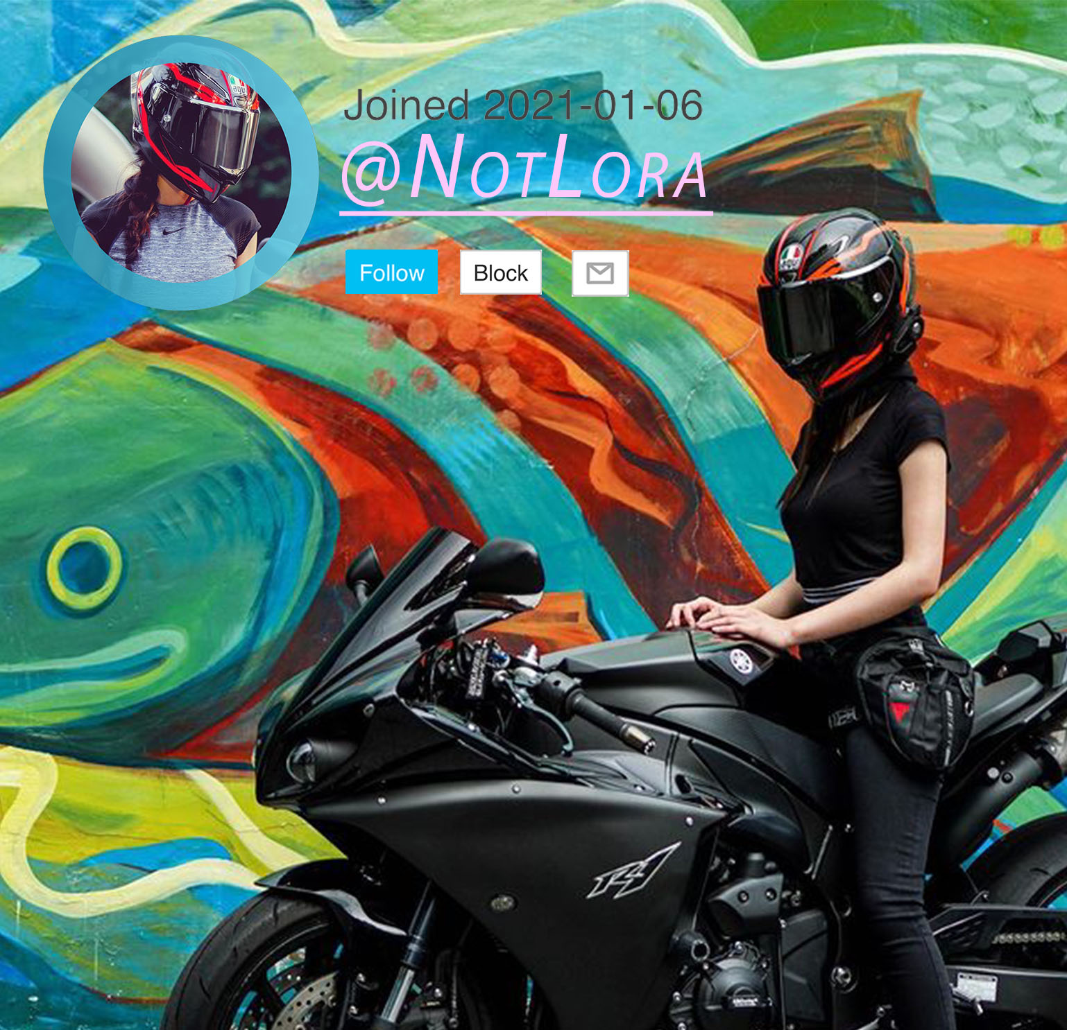 NotLora Temp Blank Meme Template
