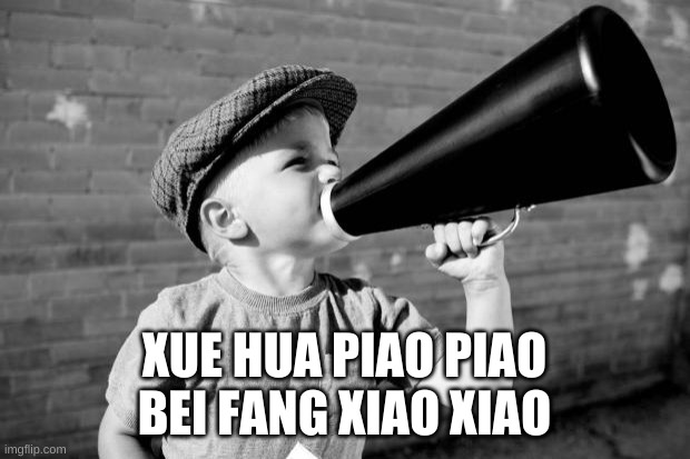 i don't even know what i am posting anymore | XUE HUA PIAO PIAO BEI FANG XIAO XIAO | image tagged in bruh | made w/ Imgflip meme maker